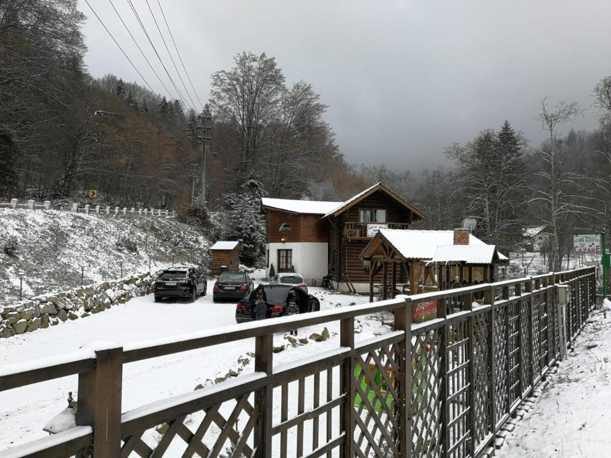 Cabana Rustic Balea Cîrţişoara Exterior foto