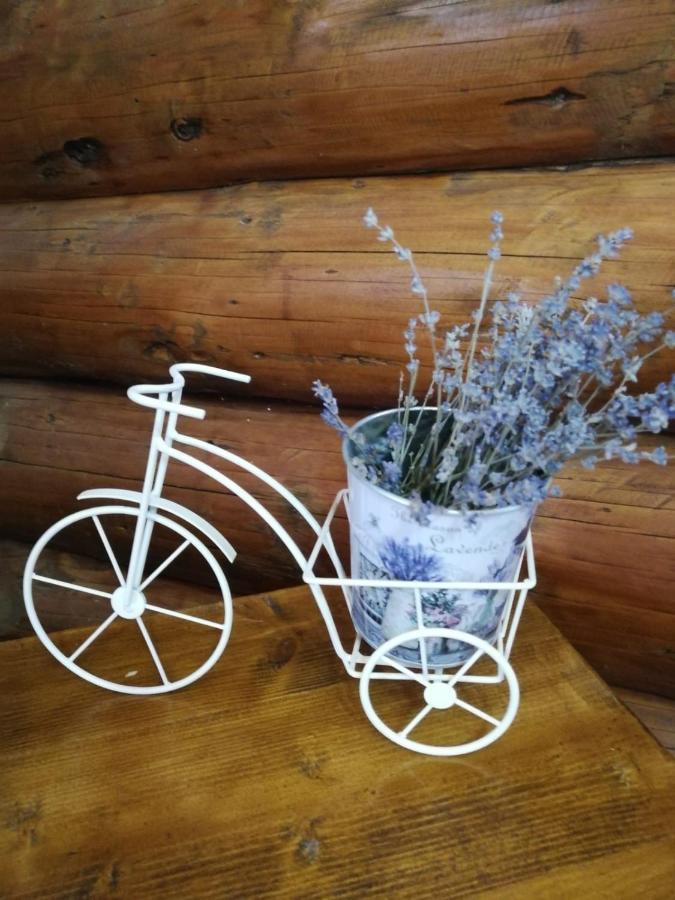 Cabana Rustic Balea Cîrţişoara Exterior foto