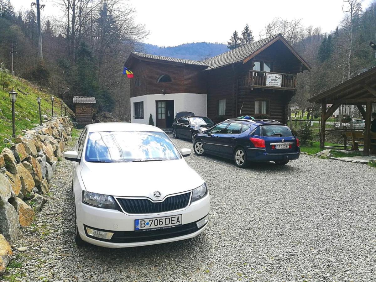 Cabana Rustic Balea Cîrţişoara Exterior foto